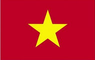 越南电子签证办理